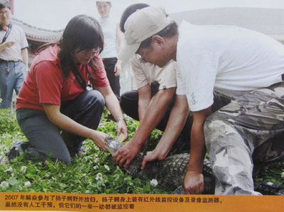 解焱:我的生态保护“立法”尝试